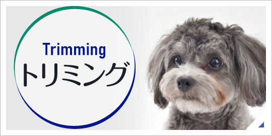 トリミング