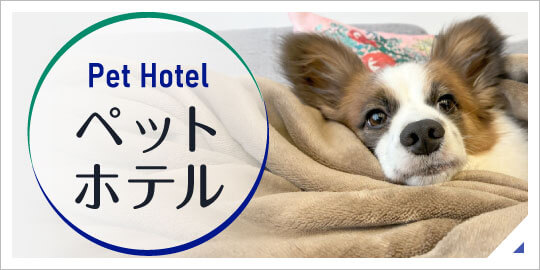 ペットホテル