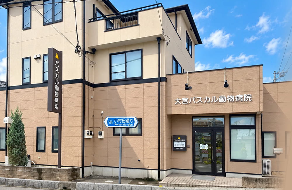 外観