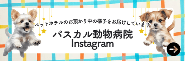 パスカル動物病院 Instagram