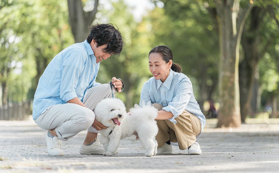 動物病院イメージ画像
