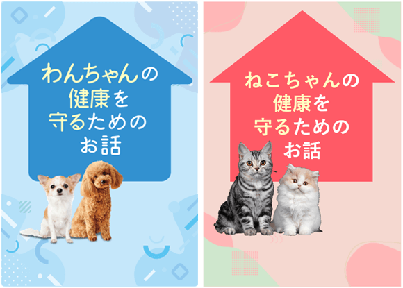 初診の方へのオリジナルパンフレット