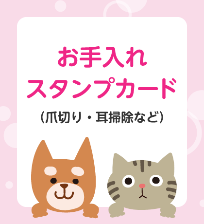 お手入れスタンプカード