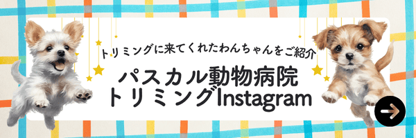 大宮パスカル動物病院トリミングInstagram