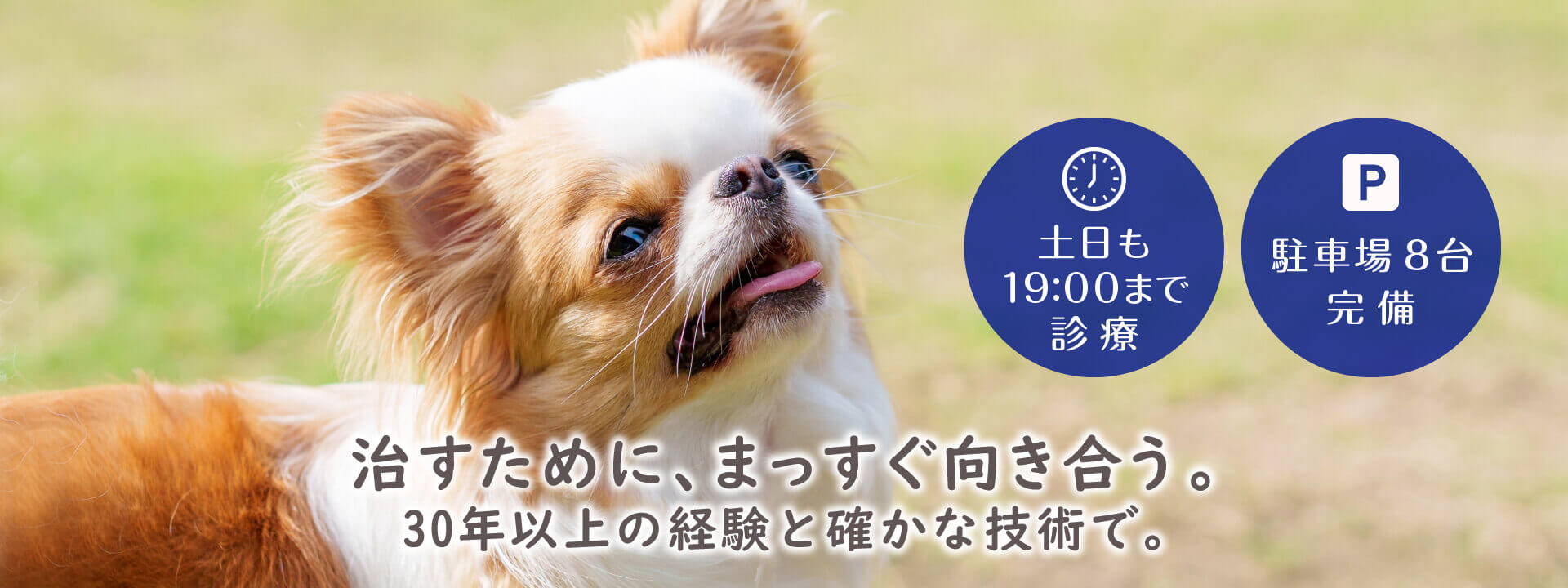 治すために、まっすぐ向き合う。30年以上の経験と確かな技術で。土日も19:00まで診療。駐車場8台完備。