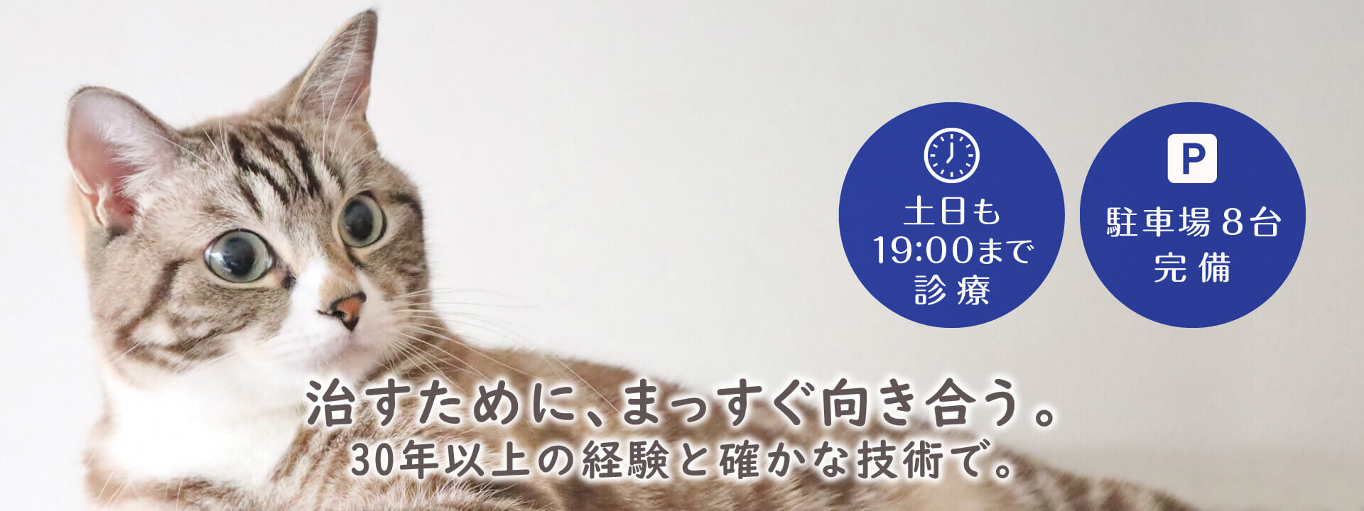 治すために、まっすぐ向き合う。30年以上の経験と確かな技術で。土日も19:00まで診療。駐車場8台完備。