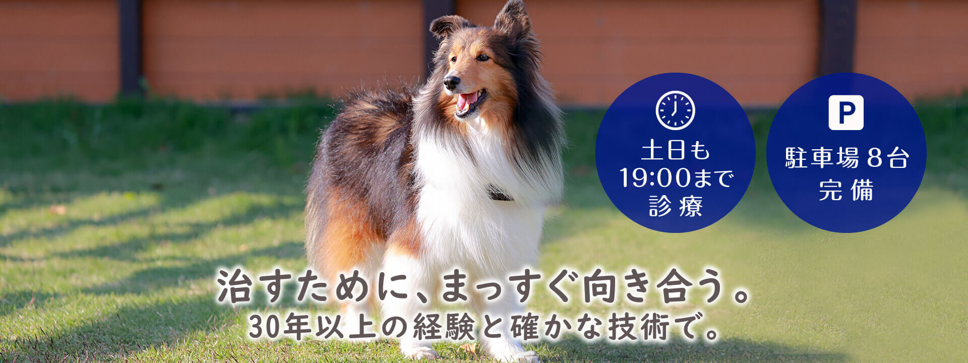 治すために、まっすぐ向き合う。30年以上の経験と確かな技術で。土日も19:00まで診療。駐車場8台完備。