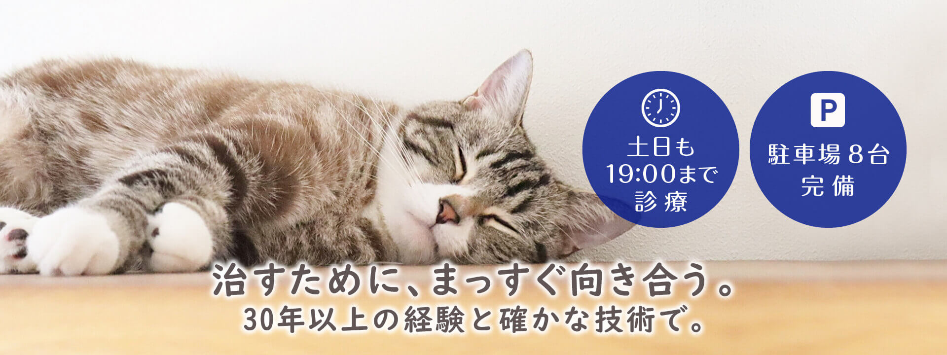 治すために、まっすぐ向き合う。30年以上の経験と確かな技術で。土日も19:00まで診療。駐車場8台完備。