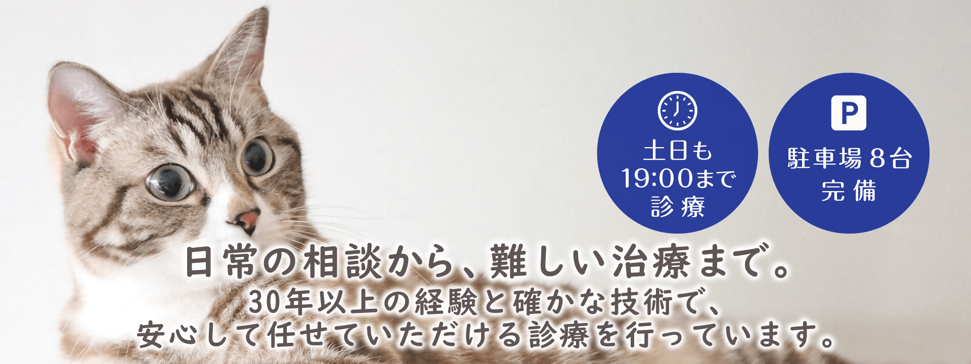 日常の相談から、難しい治療まで。30年以上の経験と確かな技術で、安心して任せていただける診療を行っています。