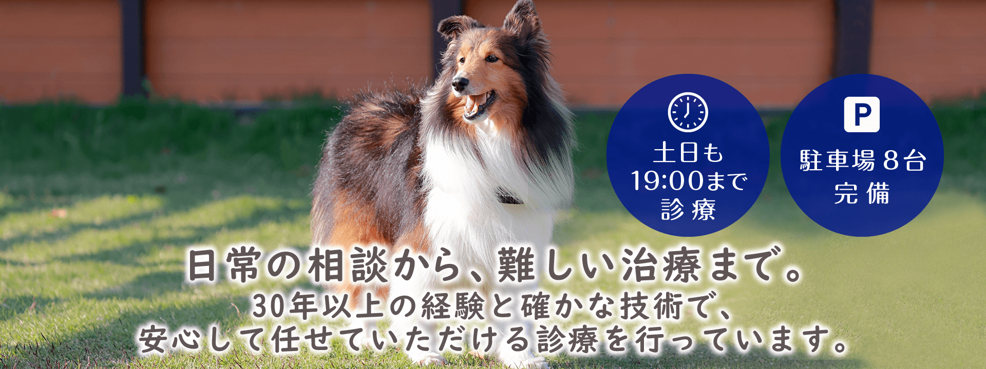 日常の相談から、難しい治療まで。30年以上の経験と確かな技術で、安心して任せていただける診療を行っています。