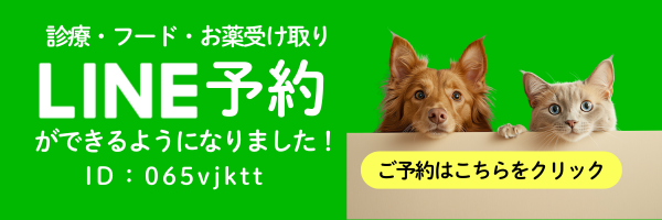 パスカル動物病院 公式LINE
